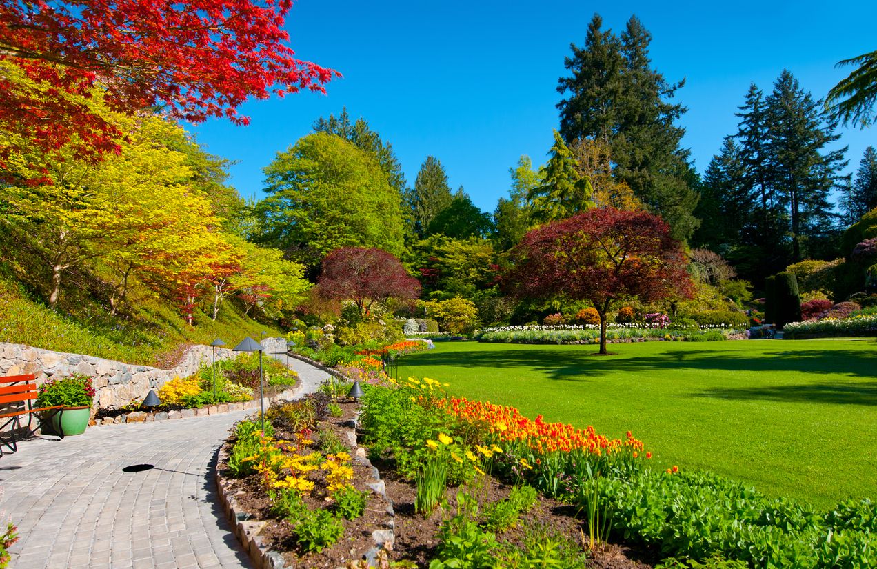 Spring garden with lush green lawn, Butchart Gardens, Victoria, Canada
