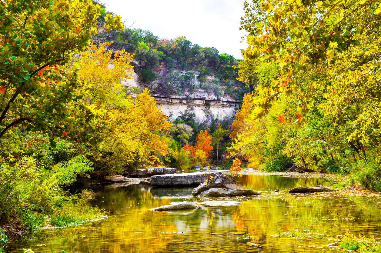 Fall Colors in Austin Texas Greenbelt Barton Creek