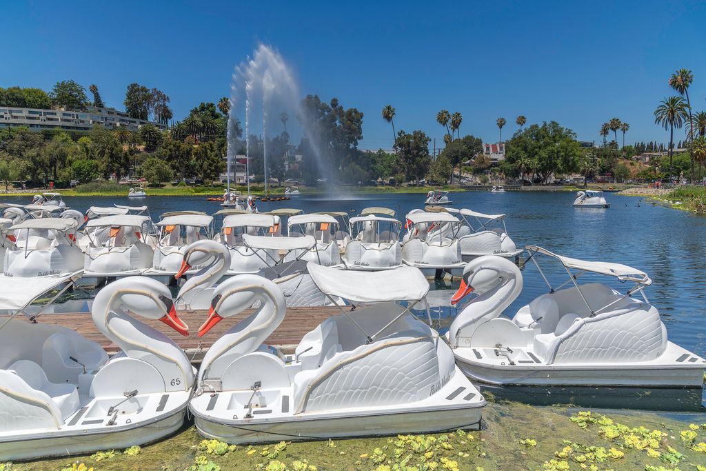 Swan Pedal Boats in Echo Park, Los Angeles, California, USA.