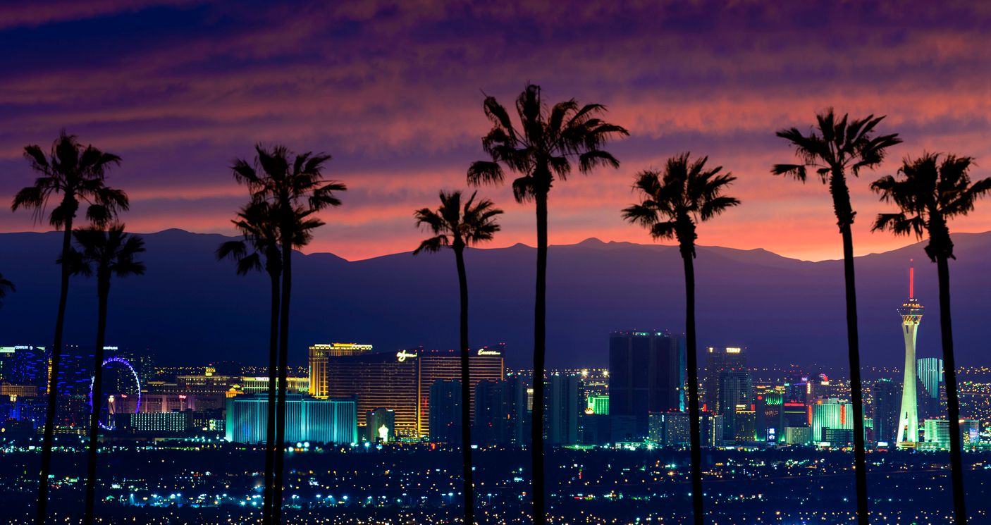  Las Vegas, Nevada with Palm trees in the foreground.