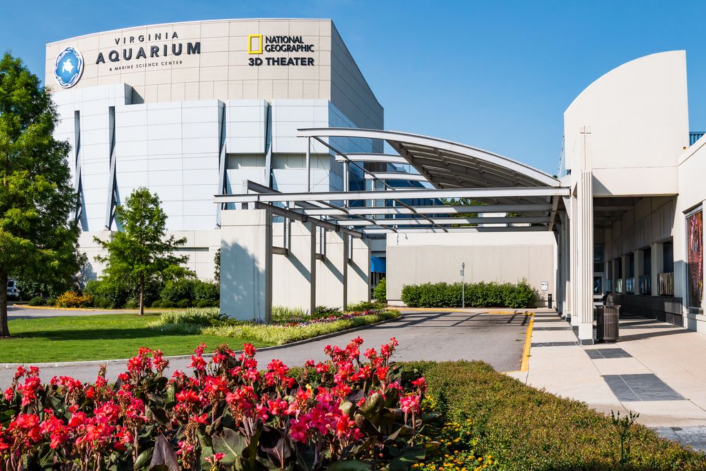 Virginia Aquarium & Marine Science Center