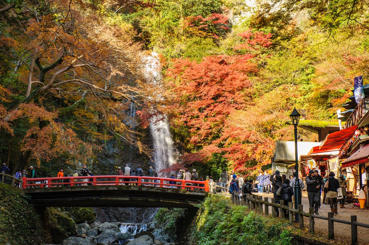 People enjoy autumn leaves and Minoo Falls, Minoo Park
