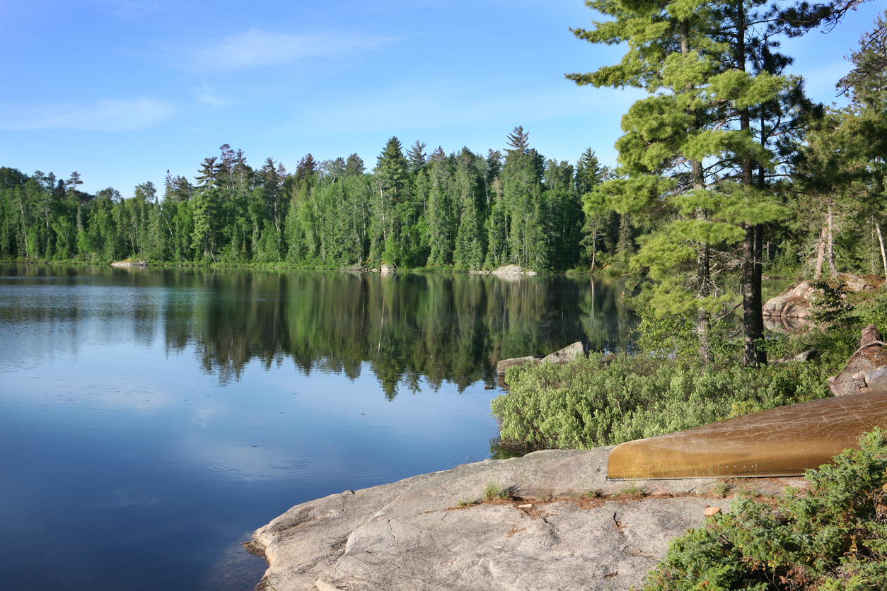 Beautiful Summer Morning on a Wilderness Lake