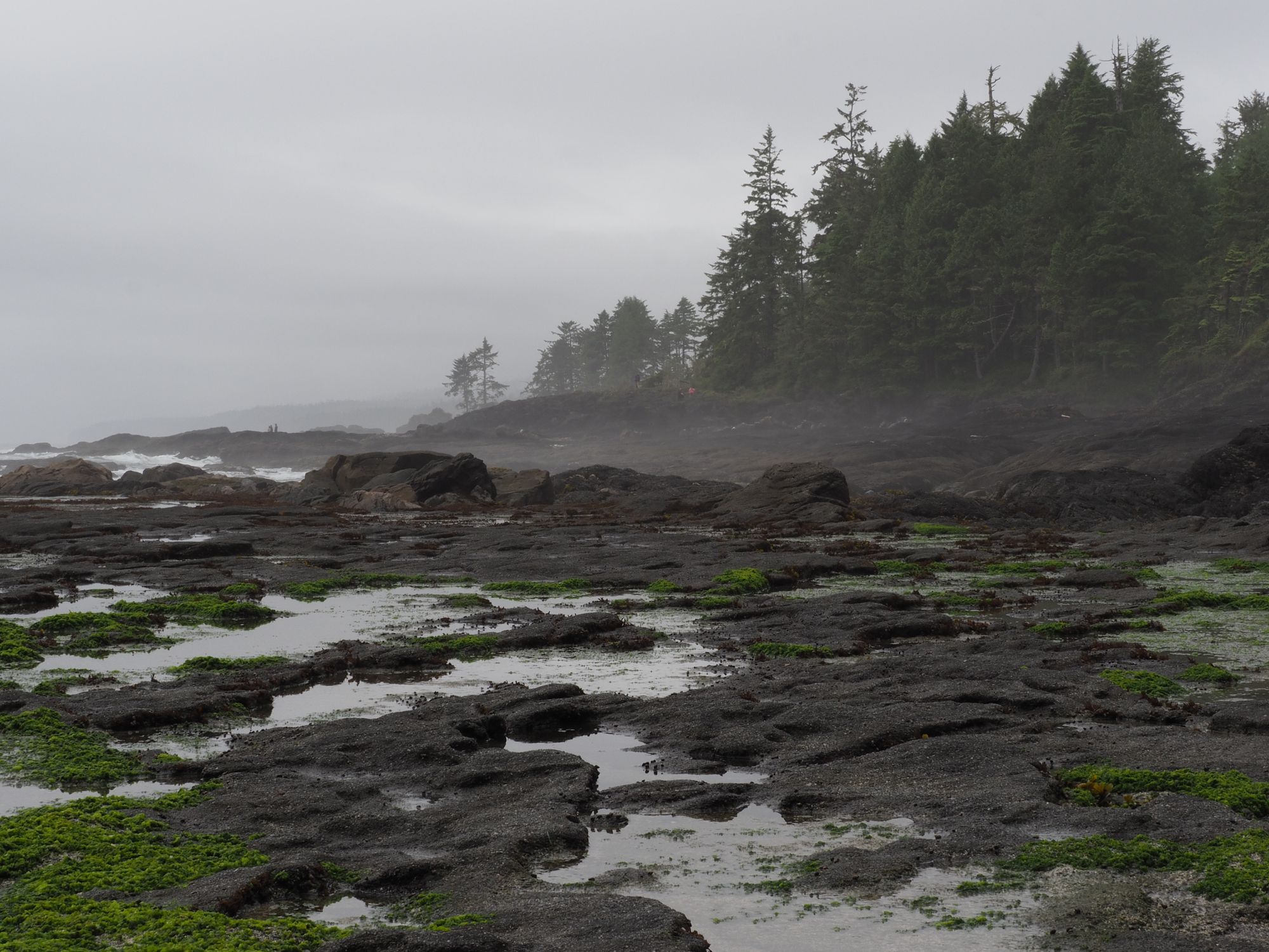 South coast of Vancouver Island, between Victoria and Port Renfrew, along the Pacific Marine Circle Route