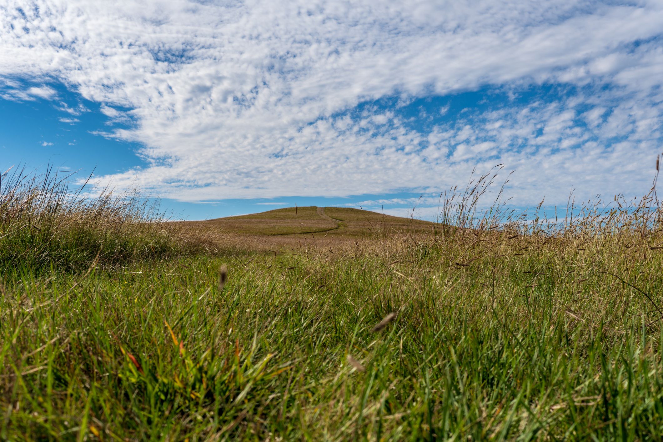 Tallgrass Prairie National Preserve