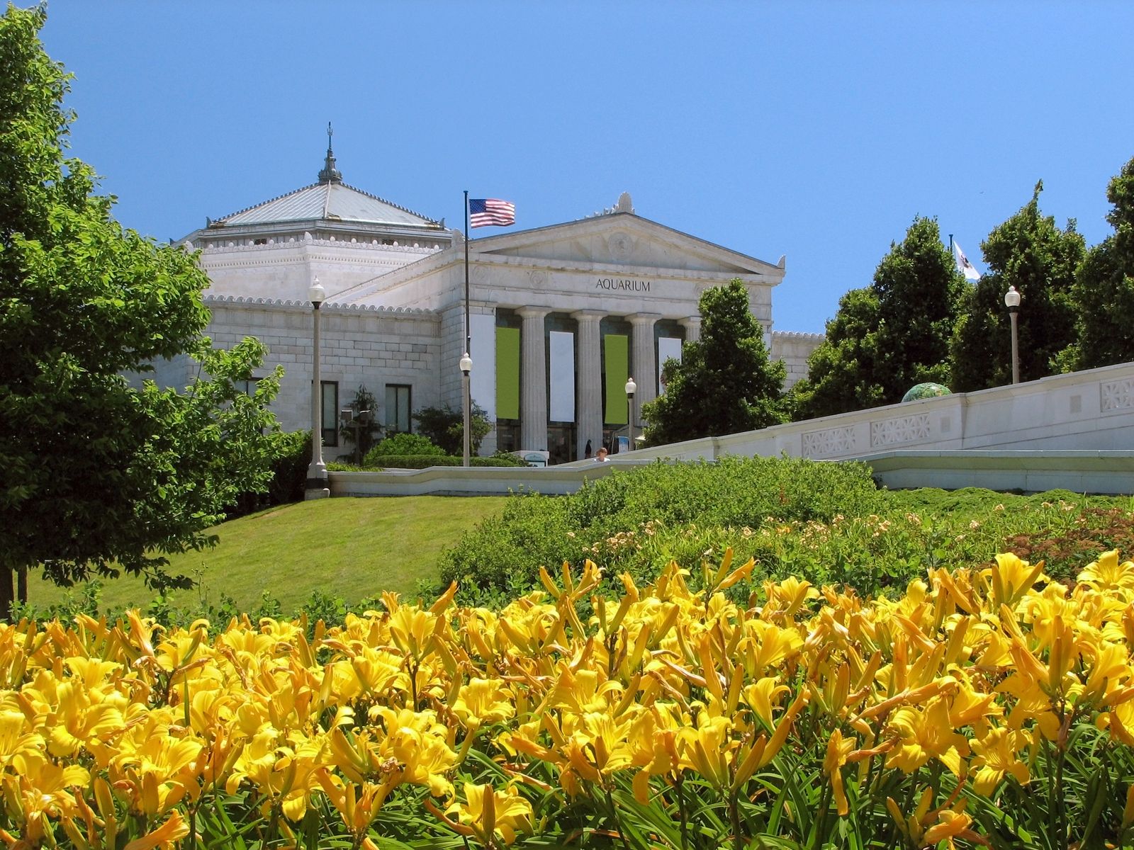 Shedd Aquarium, Chicago, Illinois