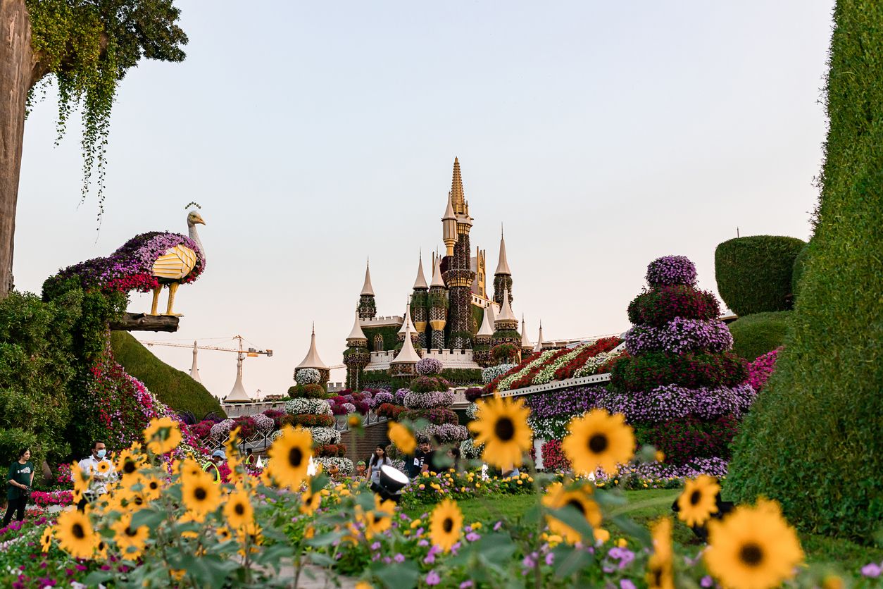 Miracle Garden in Dubai. United Arab Emirates, Middle East