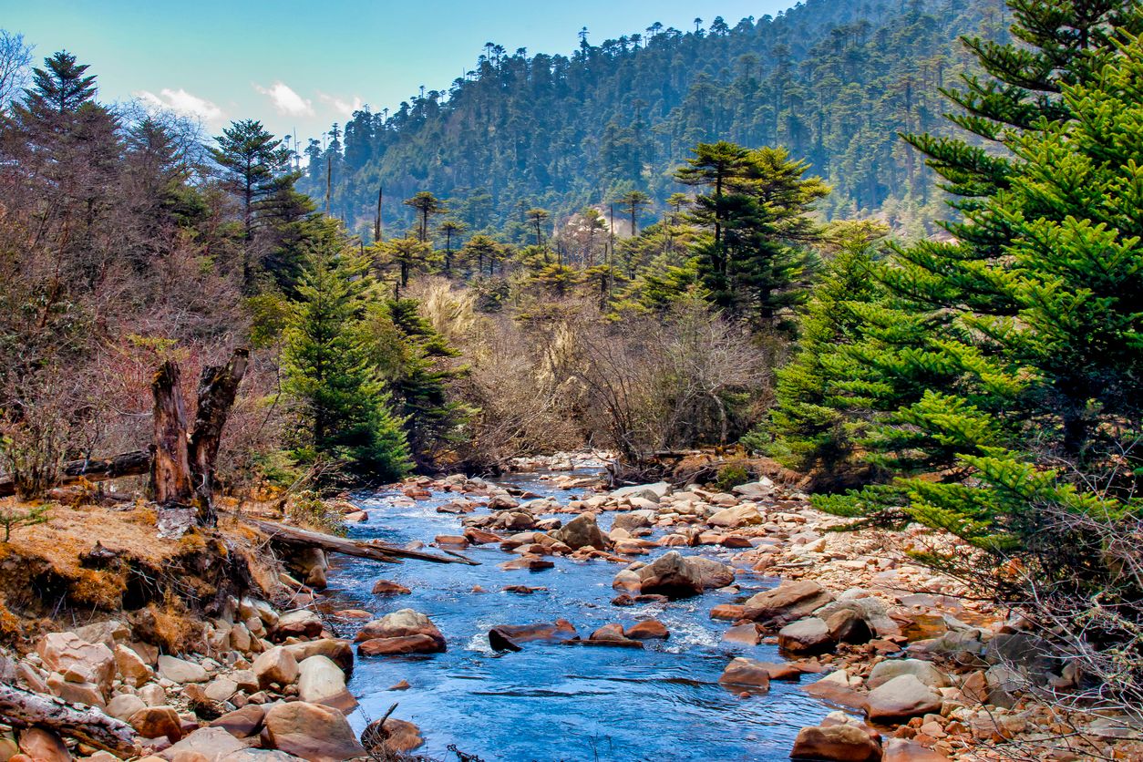 Small river in the Jigme Singye Wangchuck National Park, Bhutan