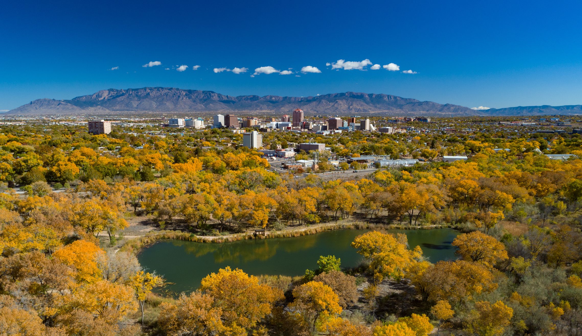 Albuquerque Skyline During Autumn