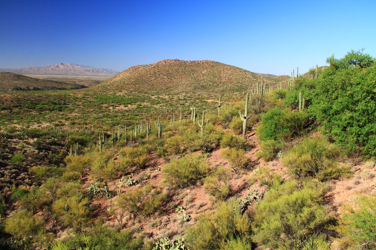 Desert mountain view as seen from the gift shop and cave entrance of Colossal Cave Mountain Park in Vail, Arizona, USA, near Tucson in the Sonoran Desert