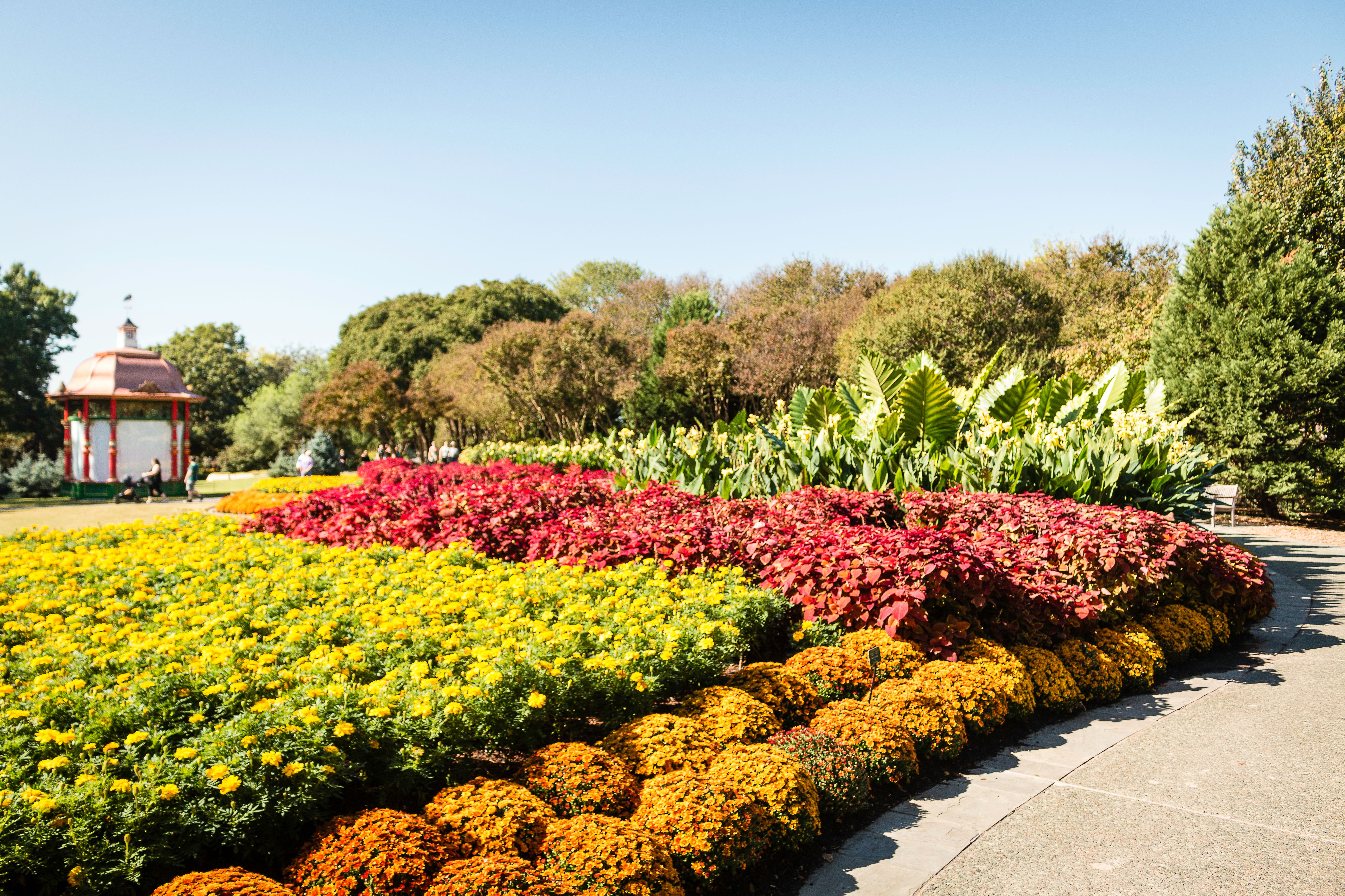 The Dallas Arboretum and Botanical Garden