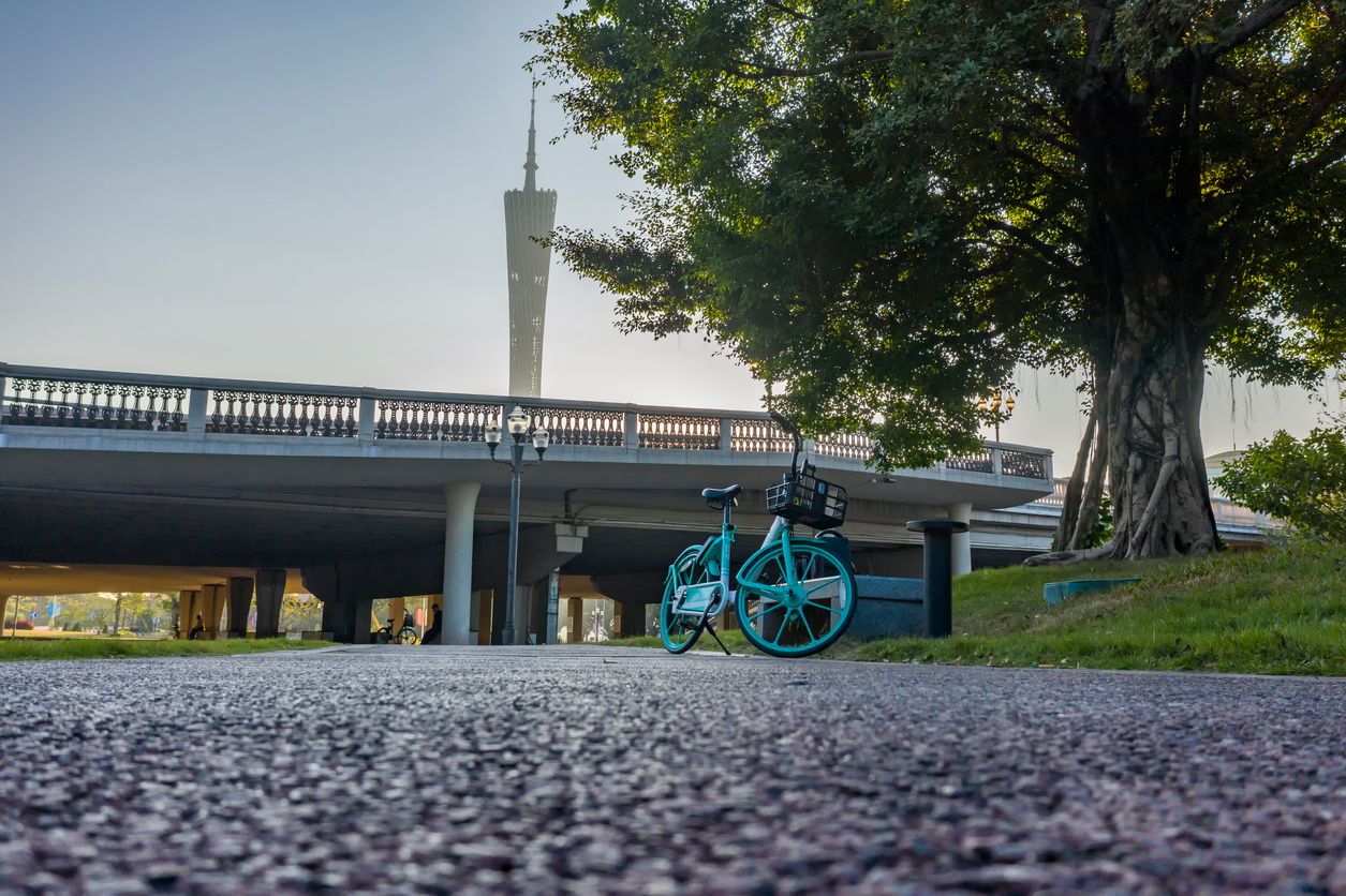 In the morning, a shared bicycle is parked under the big banyan tree in the park