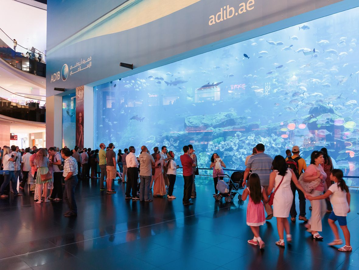 View of Dubai Aquarium inside Dubai Mall 