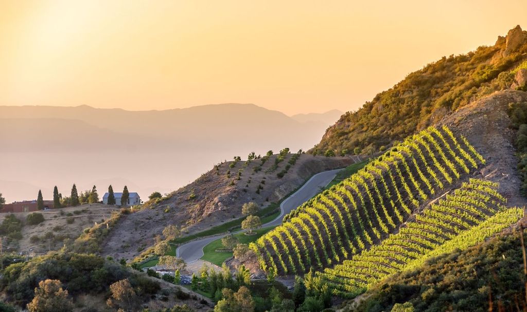 A hazy sunset over Southern California vineyards