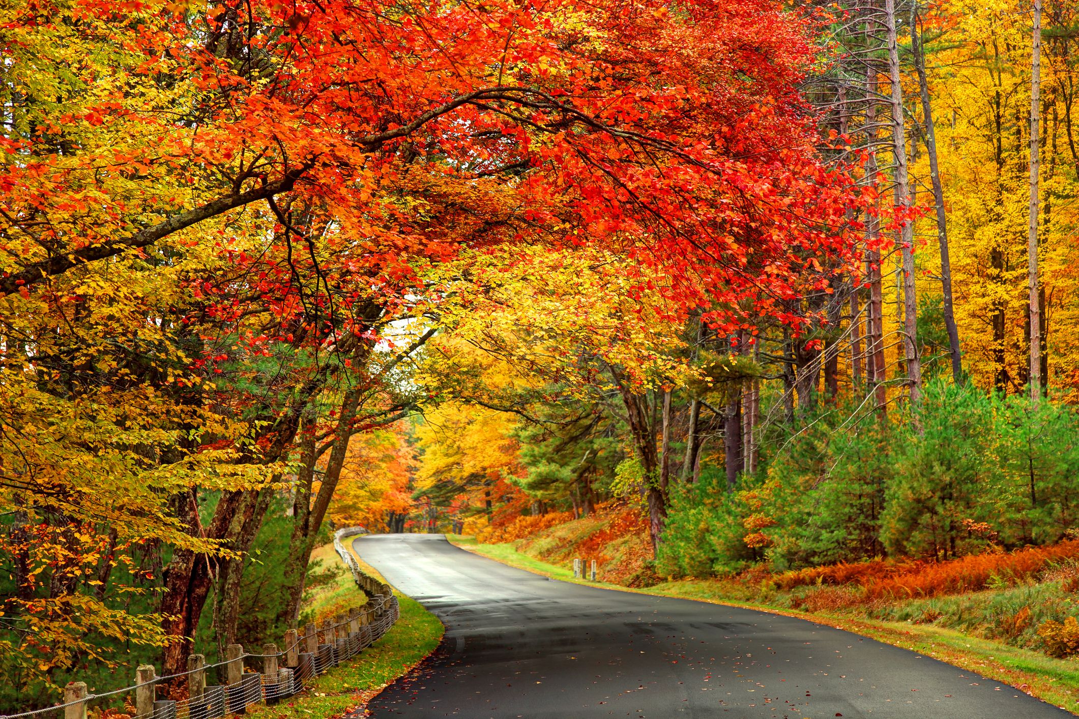 Scenic Autumn Road in the Quabbin Reservoir Park area of Massachusetts