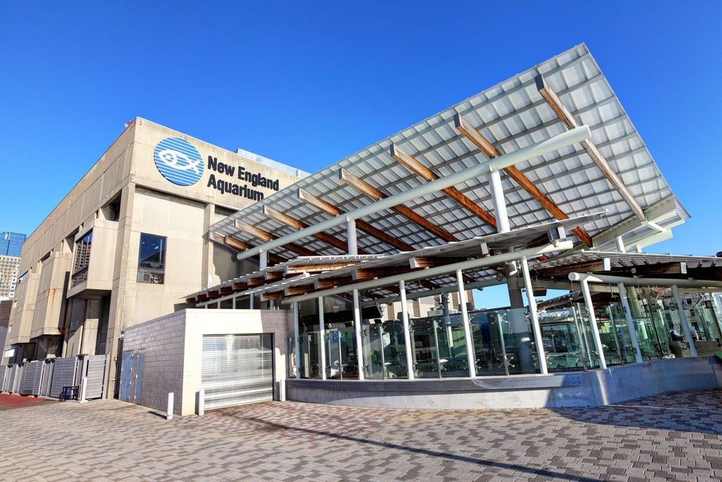 New England Aquarium in Boston