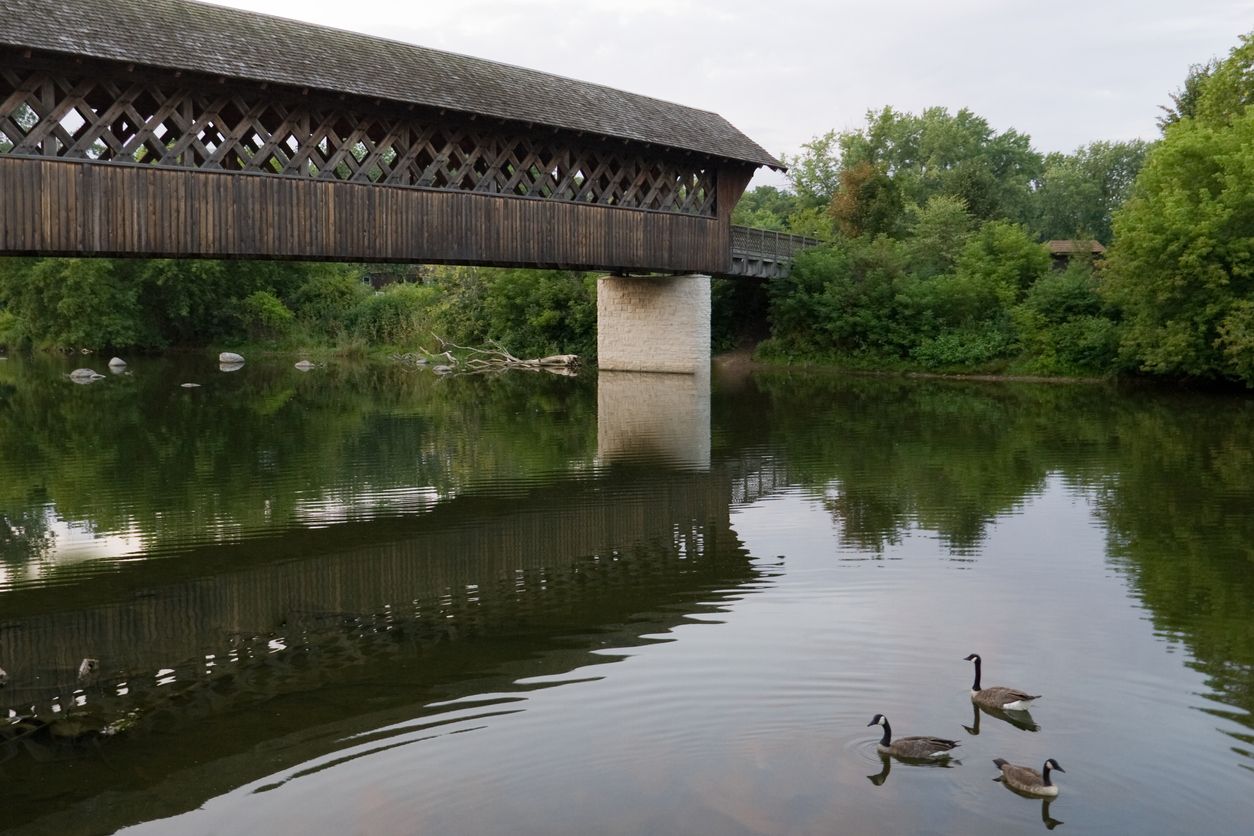 Covered Bridge near Guelph, Ontario perspective from the river with Canadian geese swimming