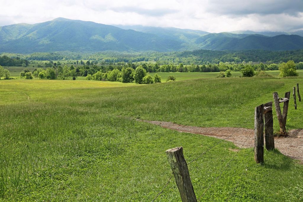 Landscape in Great Smoky Mountains National Park, Tennessee