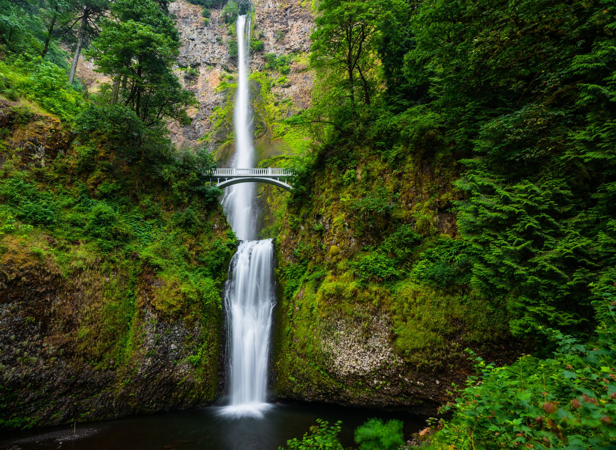 Multnomah falls in Columbia River Gorge, Oregon, USA