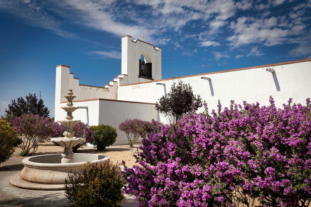Purple flowers line the side of the Socorro Mission, on the El Paso Mission Trail