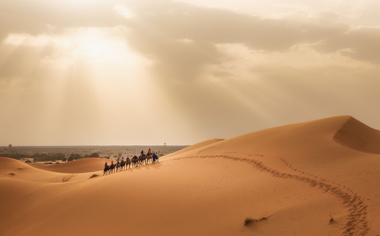 Caravan of camels crossing sand dunes near Erg Chebbi in Merzouga area