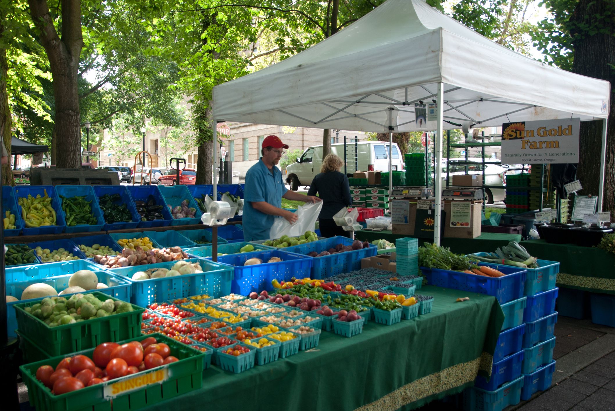 vegetables available for sale at a Portland, Oregon farmer's market