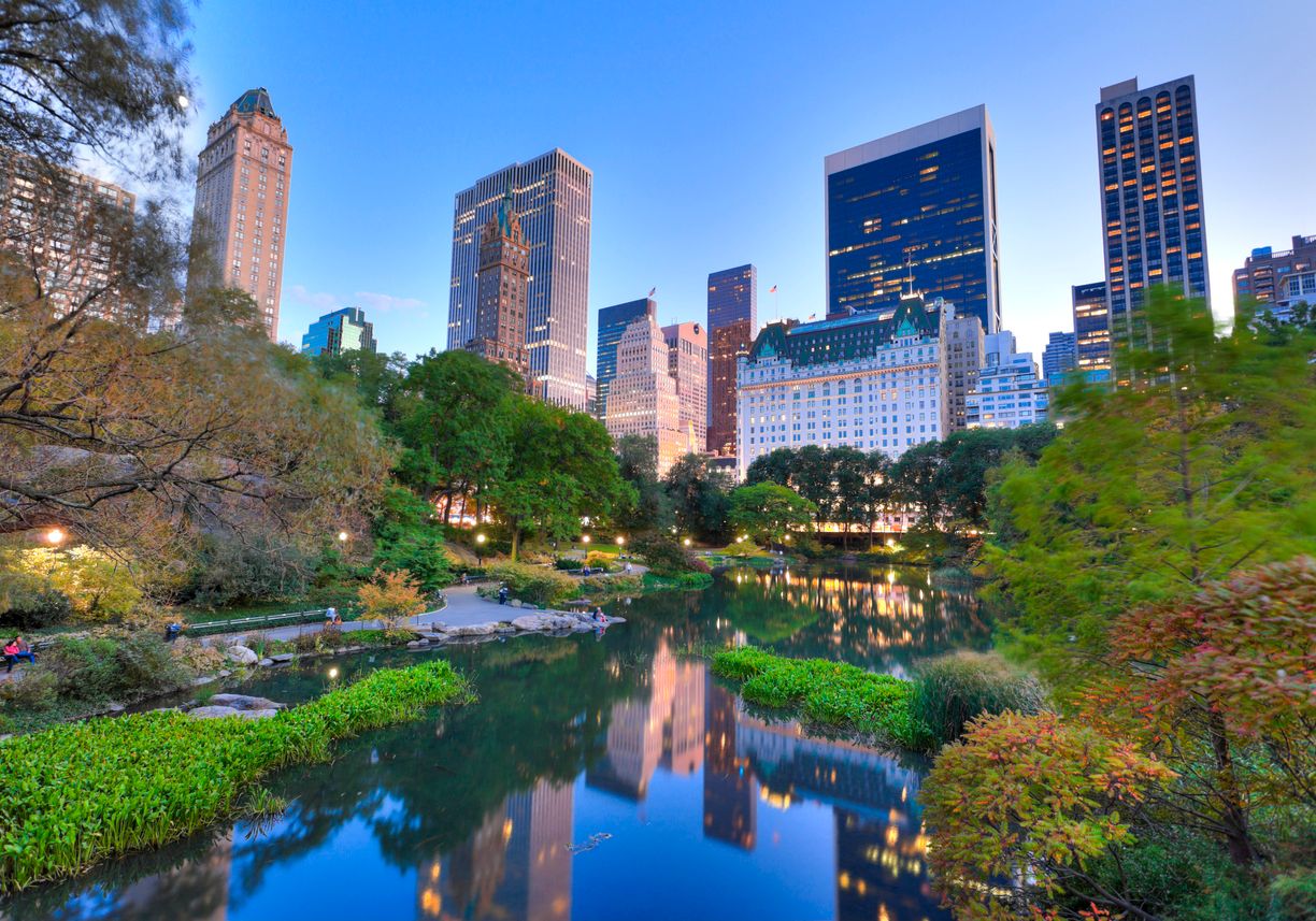 Central Park in New York City at dusk