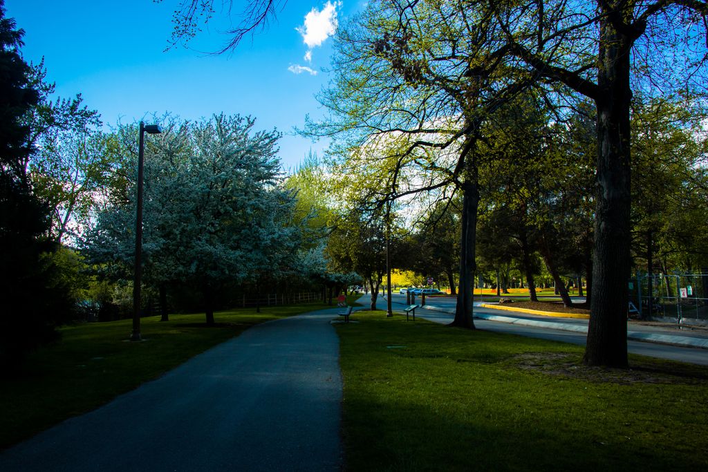 Julia Davis Park, Boise