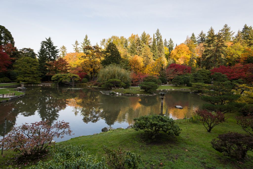 Fall at the Japanese Garden in Washington Park Arboretum, Seattle.