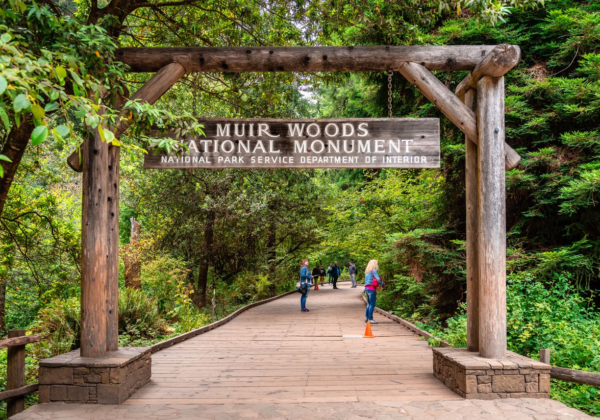 The Muir Woods National Monument, on Mount Tamalpais, in Marin County