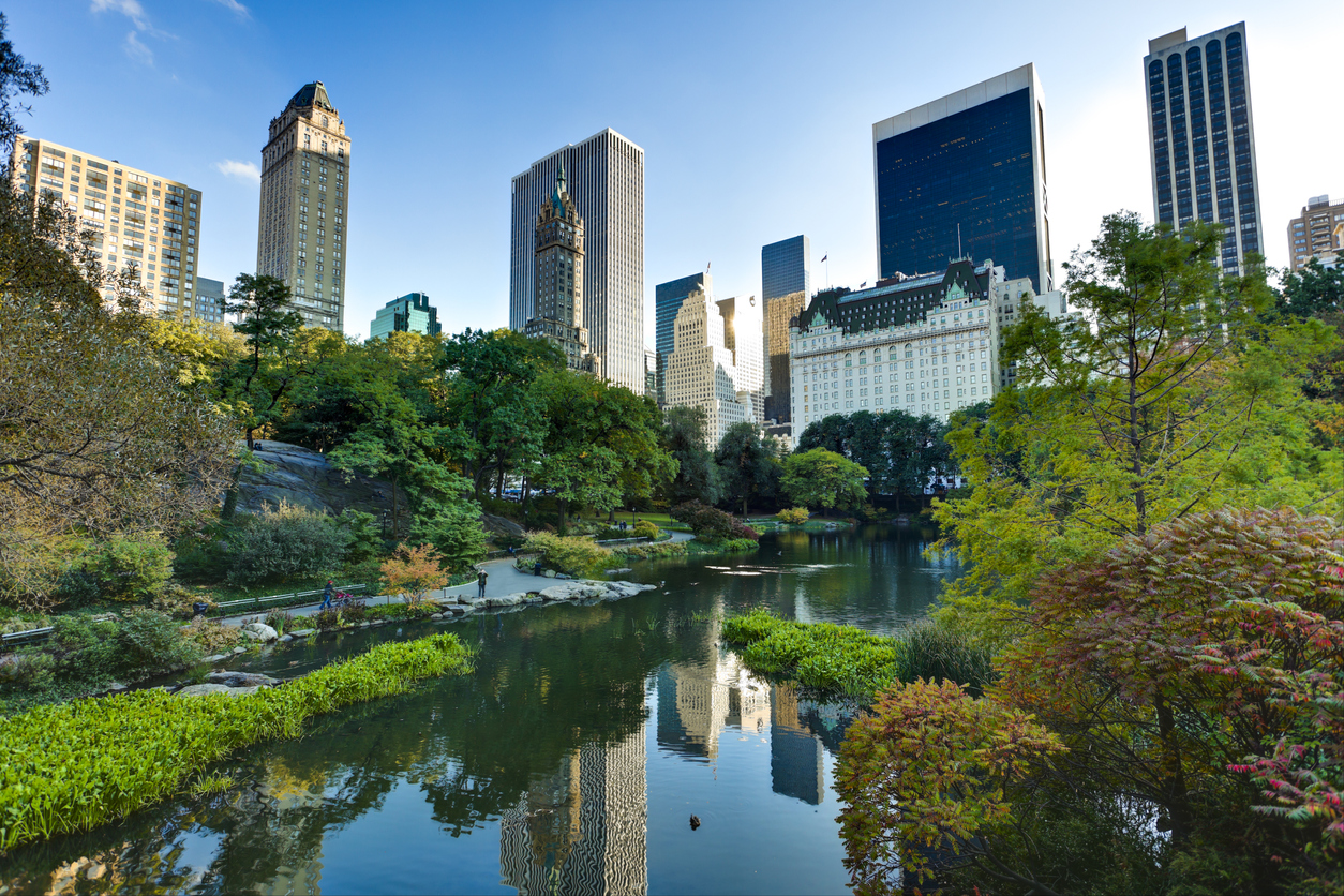 Central Park in New York City