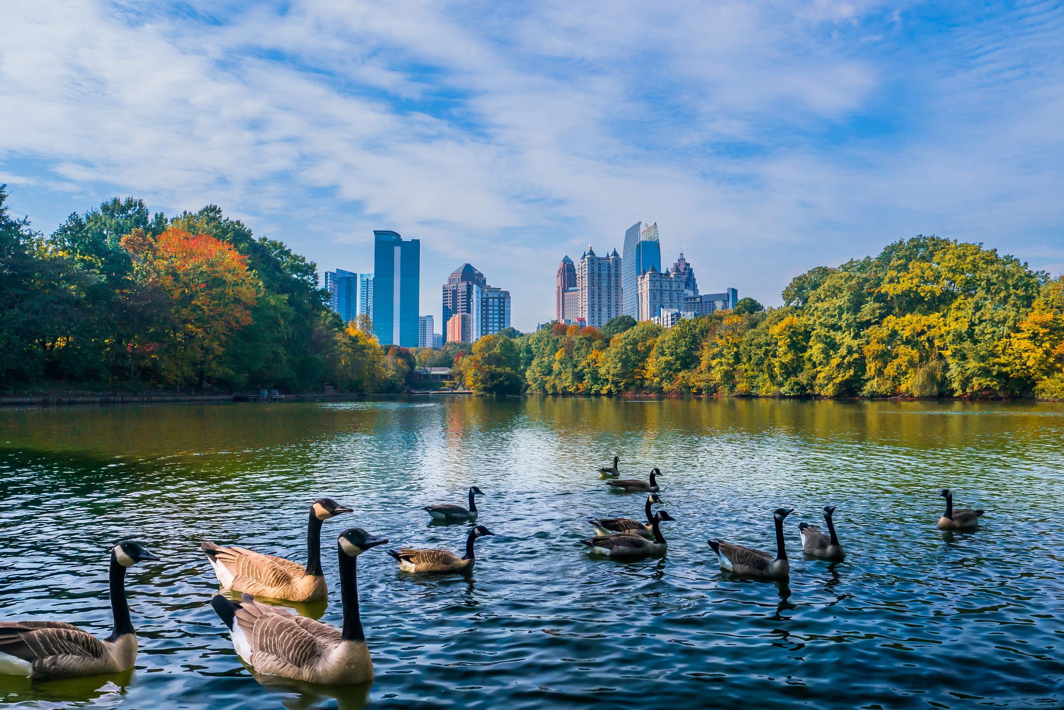 Atlanta midtown skyline from Piedmont Park
