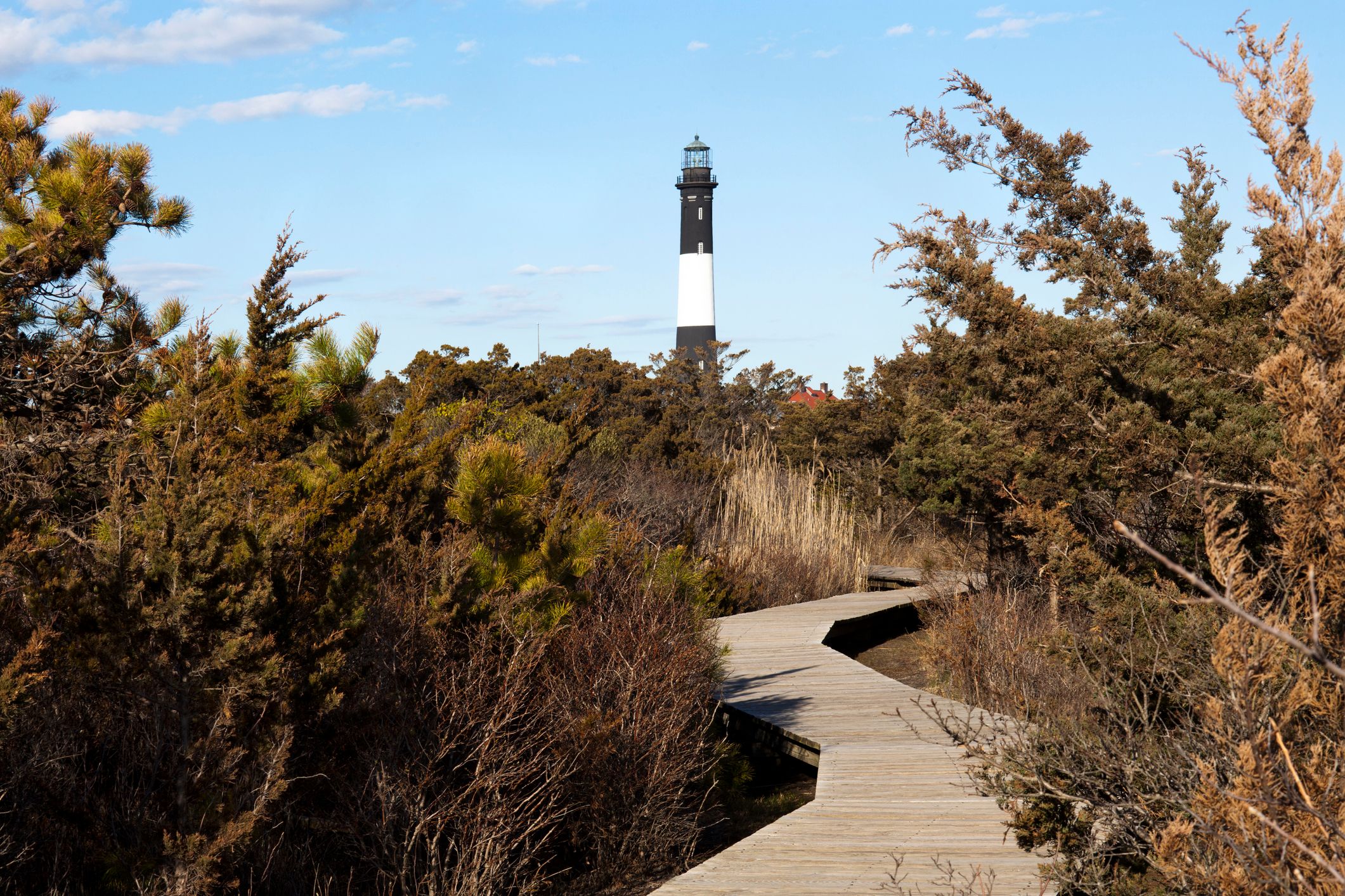 Trail to Fire Island Lighthouse